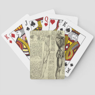Leonardo da Vinci's Human Anatomy Male Muscles Playing Cards