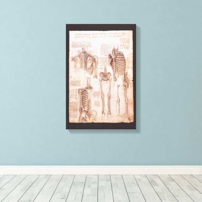 Leonardo da Vinci's Human Anatomy Skeleton Bones Canvas Print (Insitu(Wood Floor))