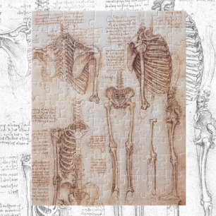 Leonardo da Vinci's Human Anatomy Skeleton Bones Jigsaw Puzzle