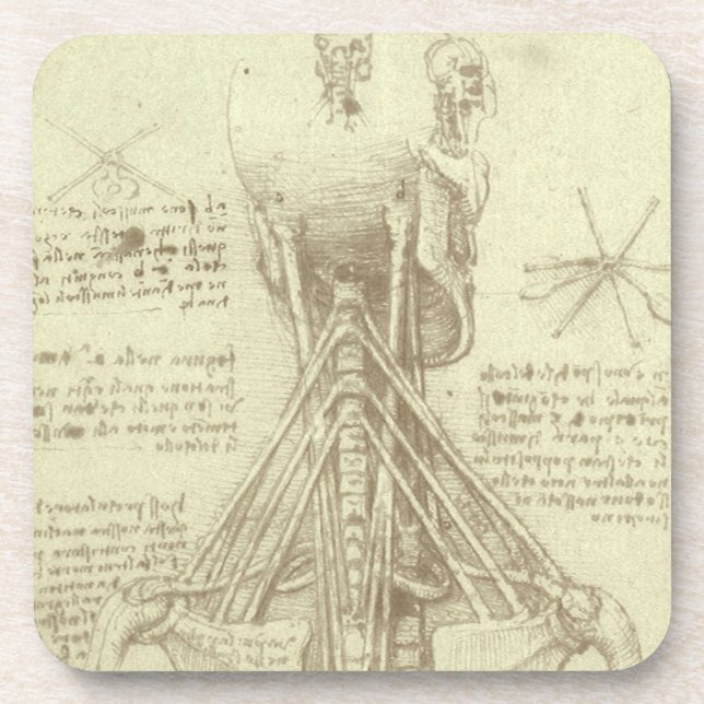 Leonardo da Vinci's Human Anatomy Spinal Column Coaster (Front)