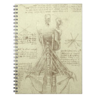 Leonardo da Vinci's Human Anatomy Spinal Column