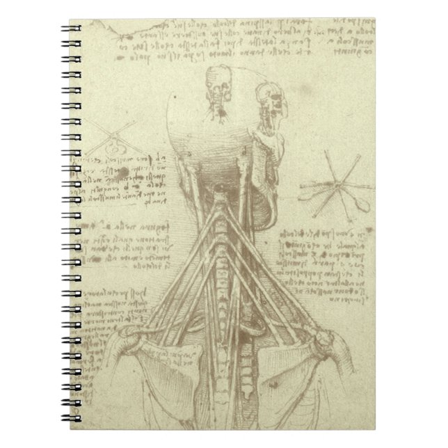 Leonardo da Vinci's Human Anatomy Spinal Column Spiral Notebook (Front)