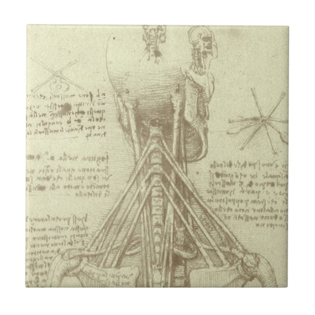 Leonardo da Vinci's Human Anatomy Spinal Column Tile (Front)