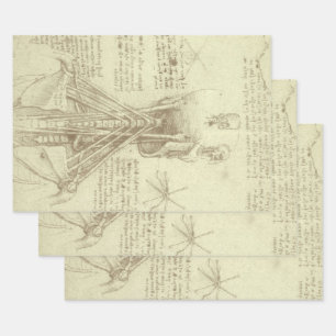 Leonardo da Vinci's Human Anatomy Spinal Column Wrapping Paper Sheet