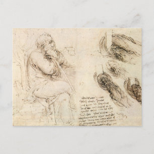 Leonardo da Vinci's Old Man and Water Sketch Postcard
