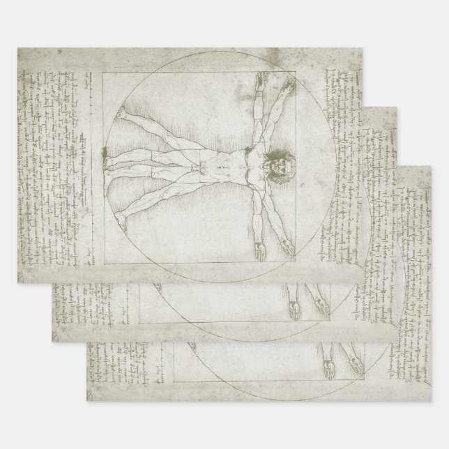 Leonardo da Vinci's Vitruvian Man Wrapping Paper Sheet (Set)