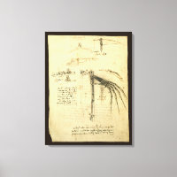 Leonardo da Vinci's Wing on Flying Machine Sketch