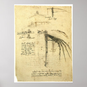 Leonardo da Vinci's Wing on Flying Machine Sketch Poster