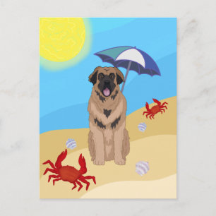 Leonberger Beach Postcard