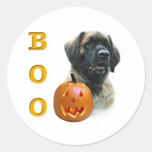 Leonberger Boo - Customised Classic Round Sticker