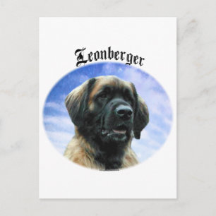 Leonberger Clouds Postcard