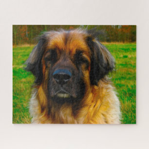 Leonberger Dog Breed Jigsaw. Jigsaw Puzzle