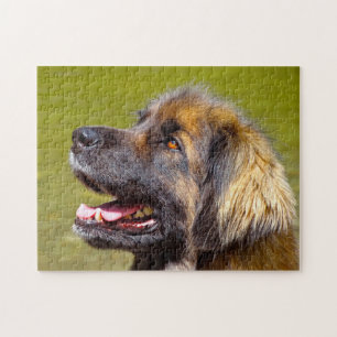 Leonberger Dog Breed Jigsaw. Jigsaw Puzzle