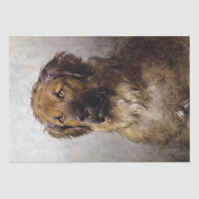 Leonberger Dog by Otto Eerelman Tissue Paper (Front)