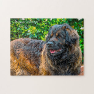 Leonberger Dog. Jigsaw Puzzle