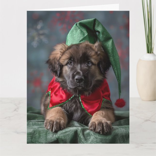 Leonberger Elf Puppy Christmas Card  (Front)
