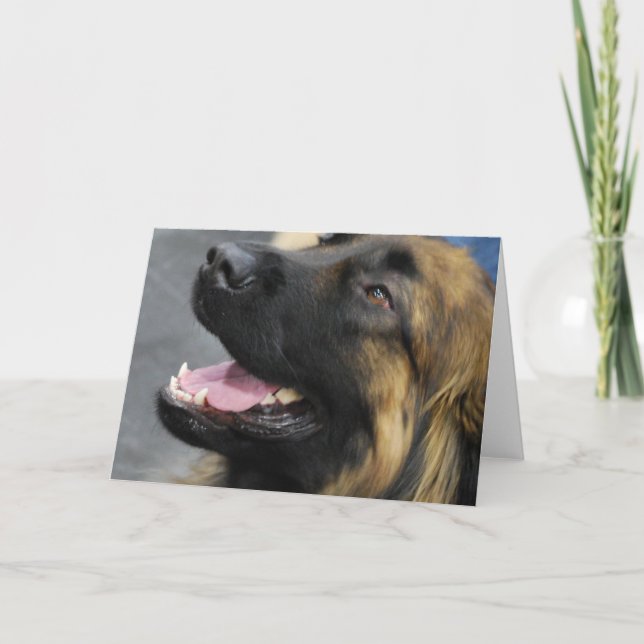Leonberger Greeting Card (Front)