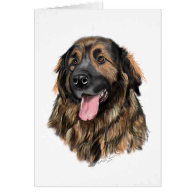 Leonberger Head Study (Front)