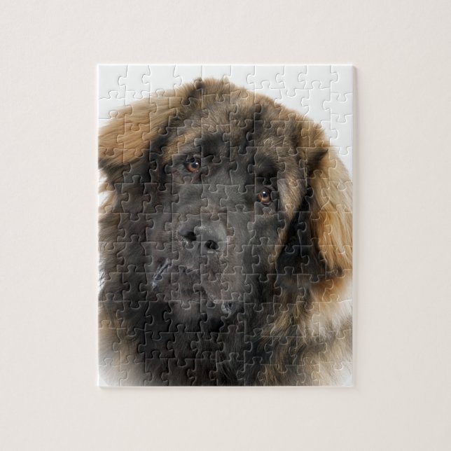 Leonberger Jigsaw Puzzle (Vertical)