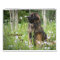 Leonberger Joy