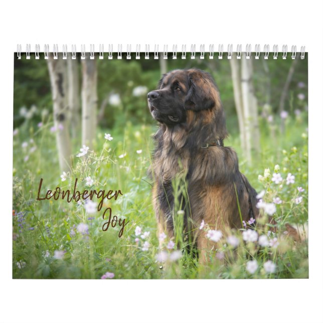 Leonberger Joy Calendar (Cover)