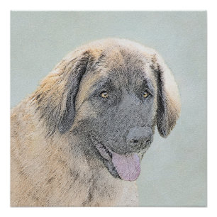 Leonberger Painting - Cute Original Dog Art Poster