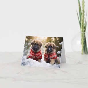 Leonberger Puppies Christmas Card