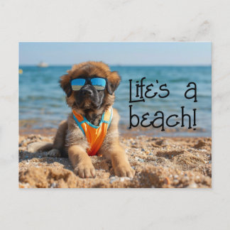 Leonberger Puppy wearing sunglasses postcard