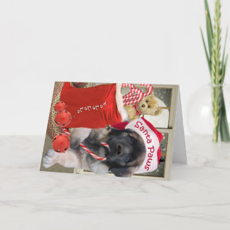 Leonberger Santa Paws Cards