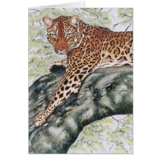 "Leopard"