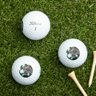 Leopard 003 golf balls
