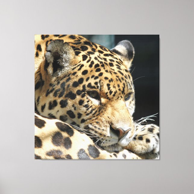 Leopard 004 canvas print (Front)