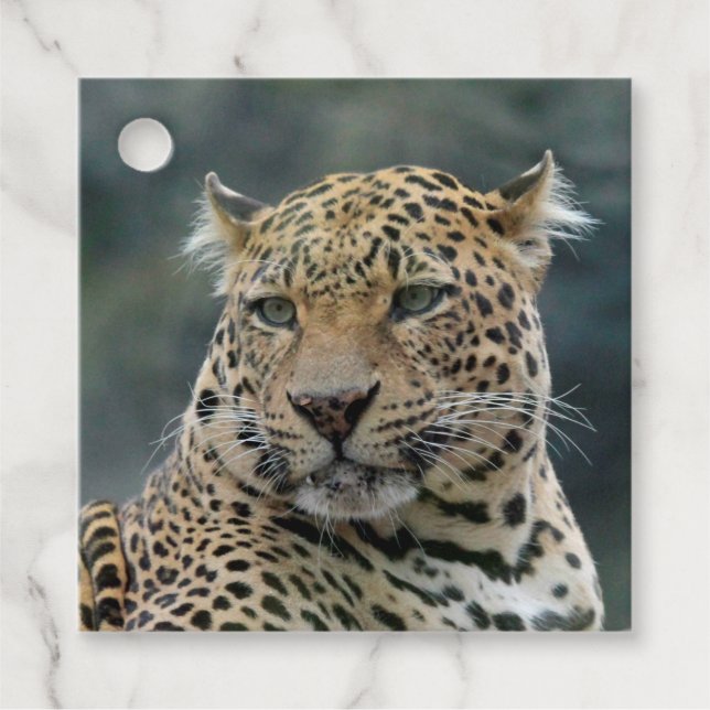 Leopard 006 favour tags (Front)