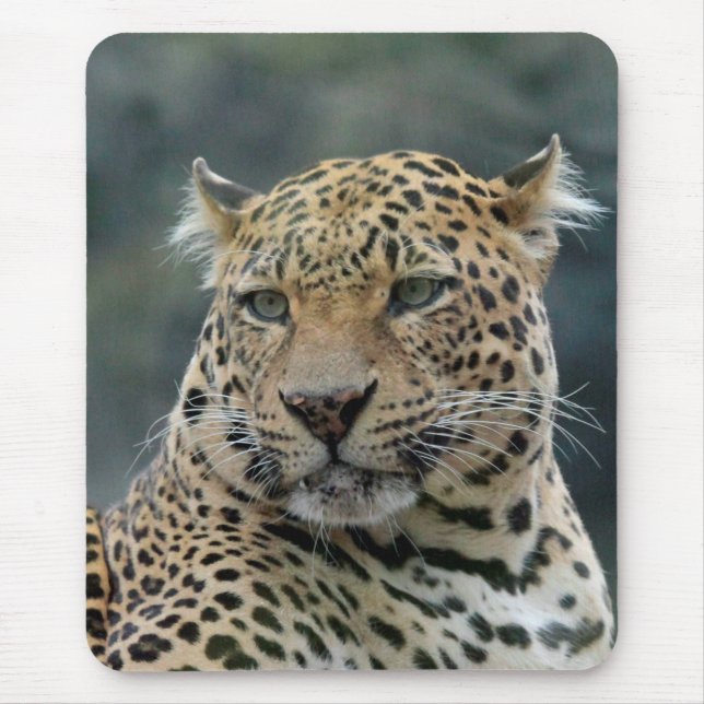 Leopard 006 mouse pad (Front)
