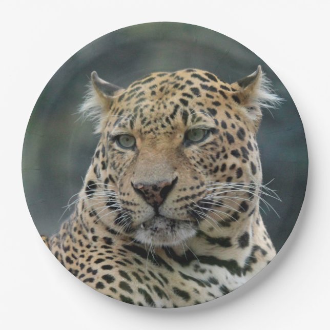 Leopard 006 paper plate (Front)