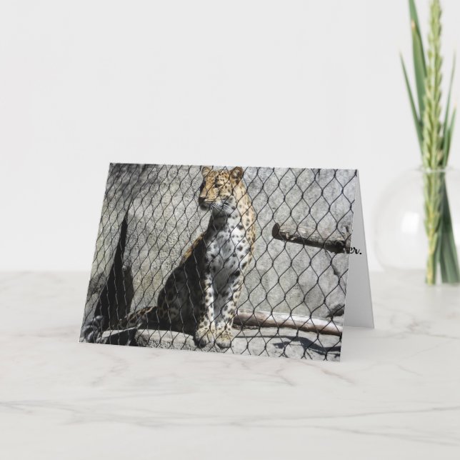 "Leopard #2" Birthday Card (Front)