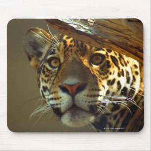 leopard 2 mouse pad