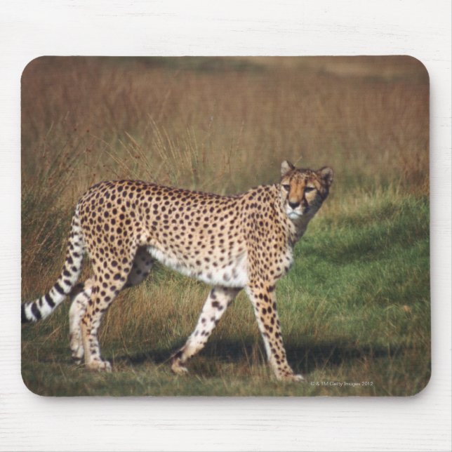 leopard 3 mouse pad (Front)