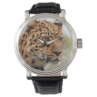 Leopard 3 Watch & Numeral Options