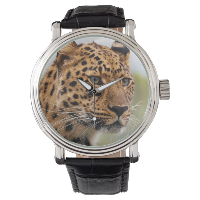 Leopard  3 Watch & Numeral Options (Front)