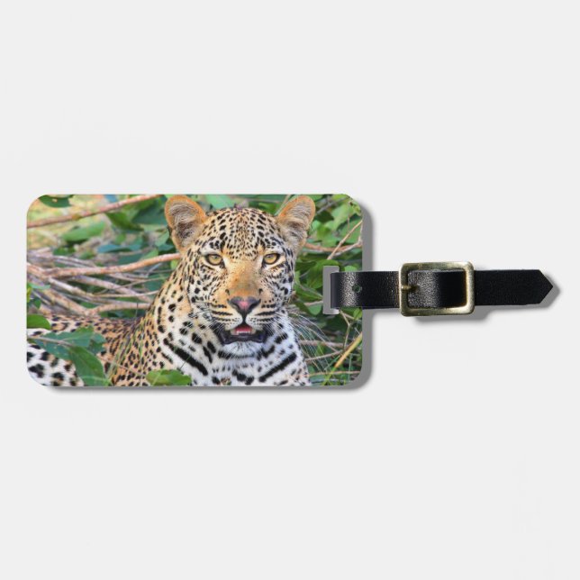 Leopard 6 Luggage Tag (Front Horizontal)
