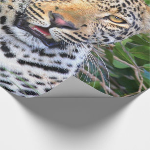 Leopard 6 Wrapping Paper