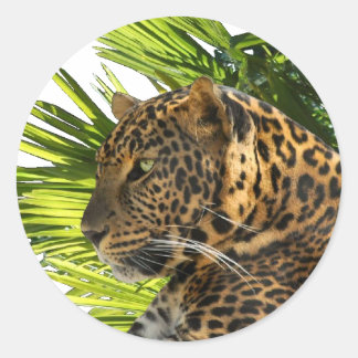 LEOPARD AND PALMS CLASSIC ROUND STICKER