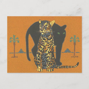 Leopard and Panther Postcard