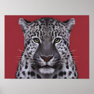 Leopard Animal Face in Cinematic Style. Poster