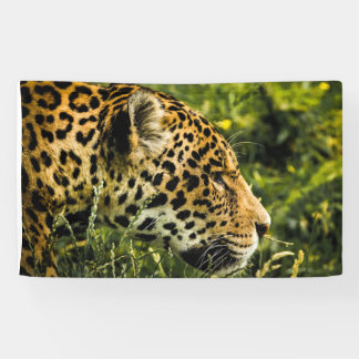 LEOPARD Banner
