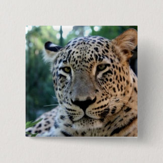 Leopard Big Cat prints  15 Cm Square Badge
