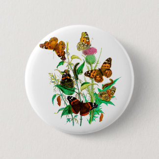 Leopard Butterflies & Caterpillars & Pink Thistle 6 Cm Round Badge