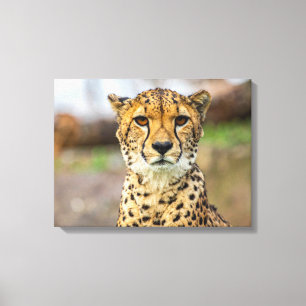 leopard canvas print