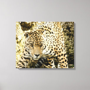 Leopard Canvas Print